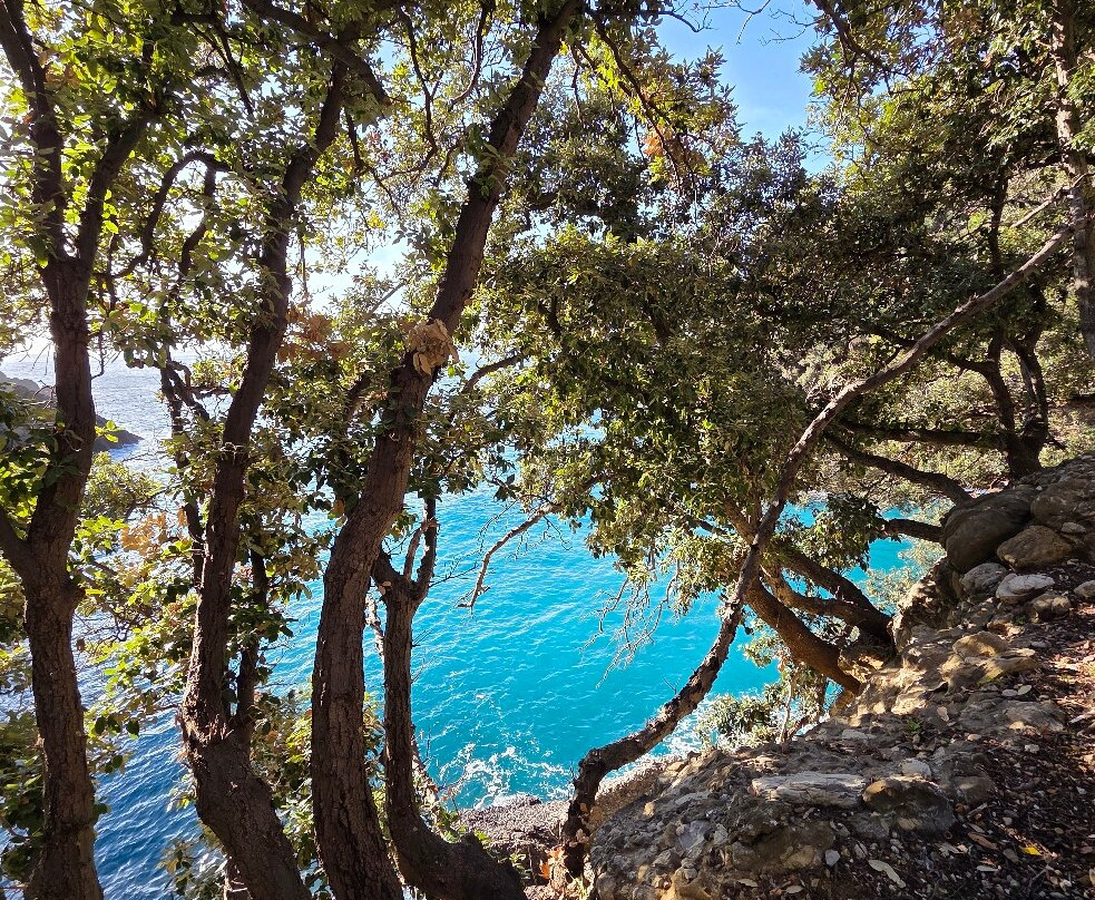 Abbazia di San Fruttuoso-卡莫利必去景点