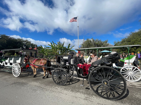 Royal Carriages-新奥尔良必去景点