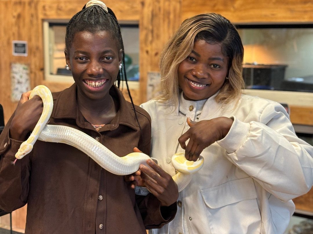 Really Wild Planet-比迪福德必去景点