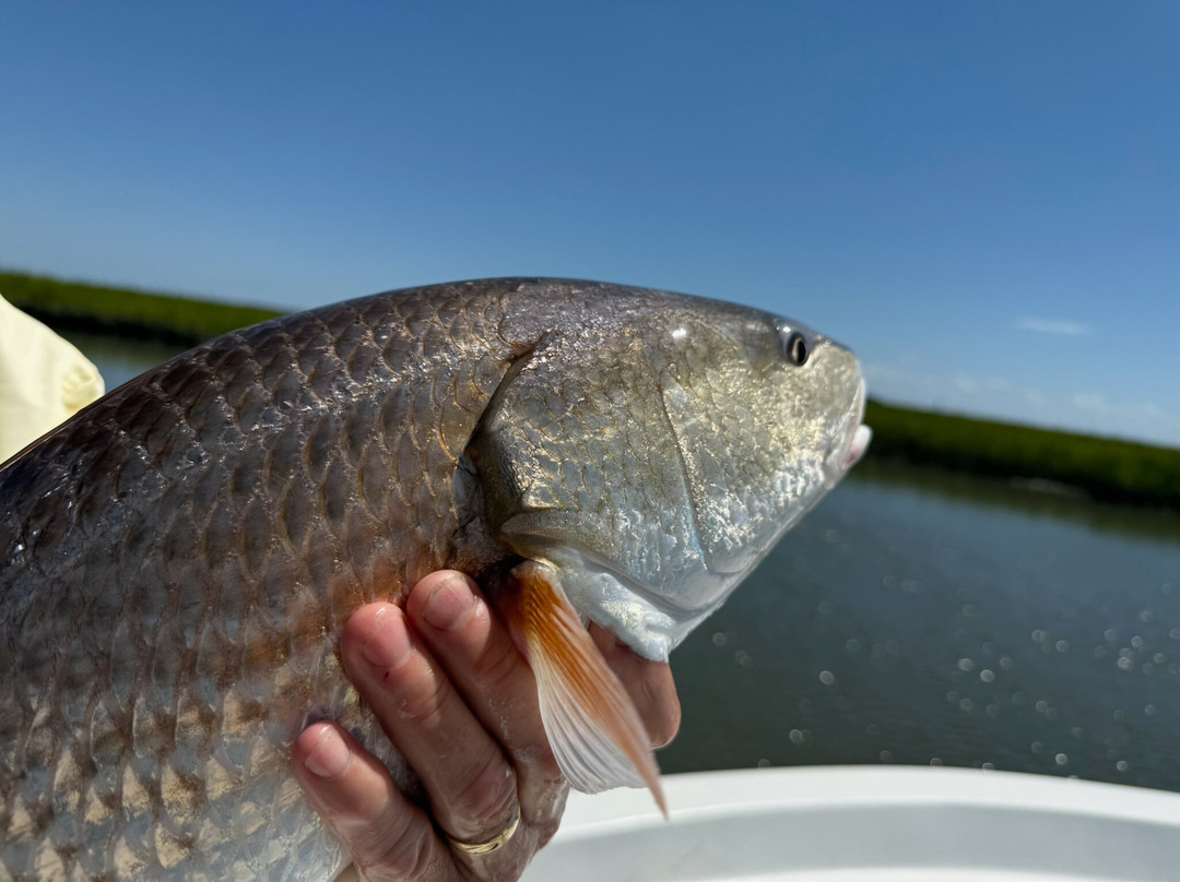 Tall Tide Fishing Adventures-查尔斯顿必去景点