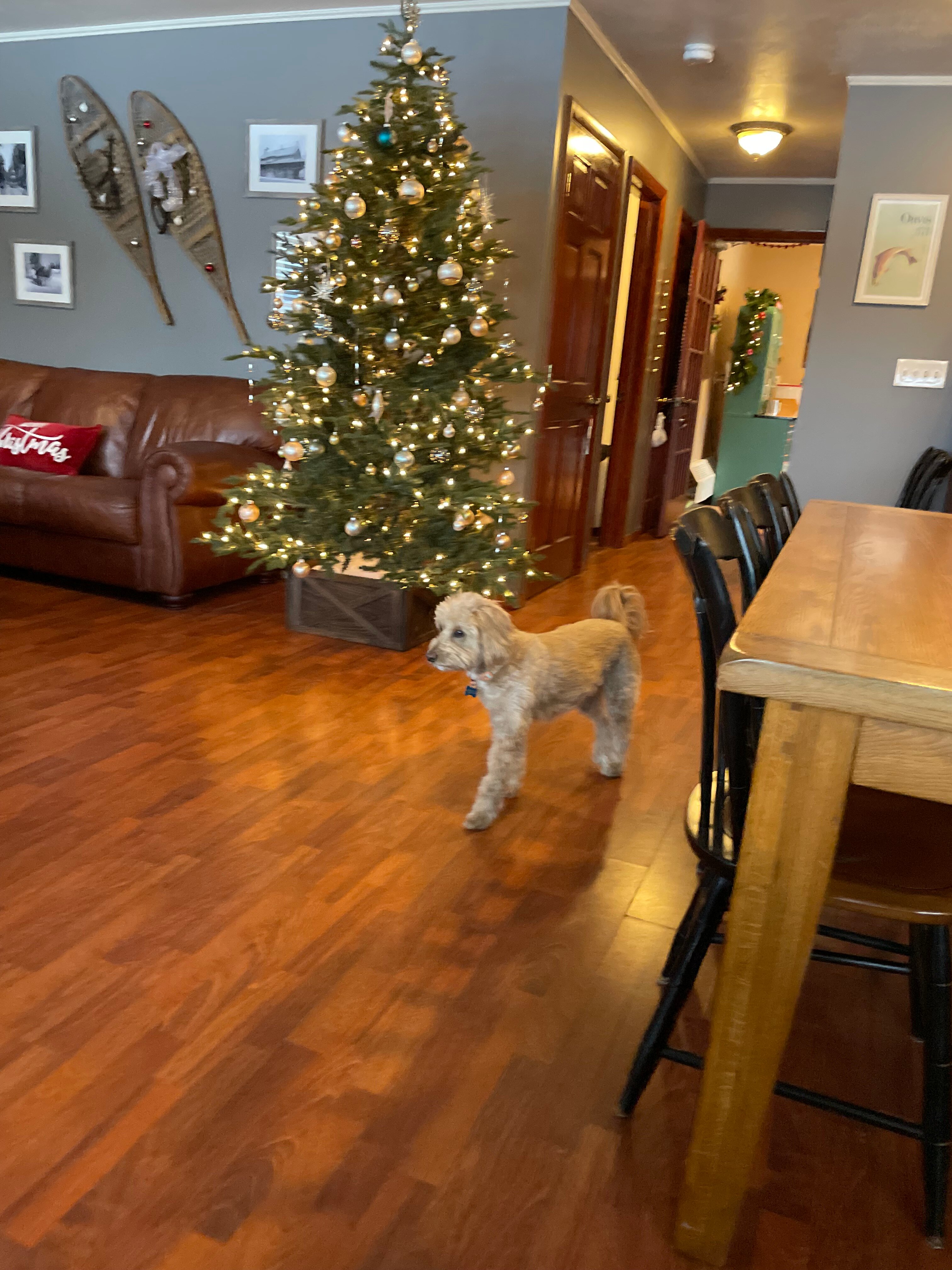 North Shire Lodge-官方