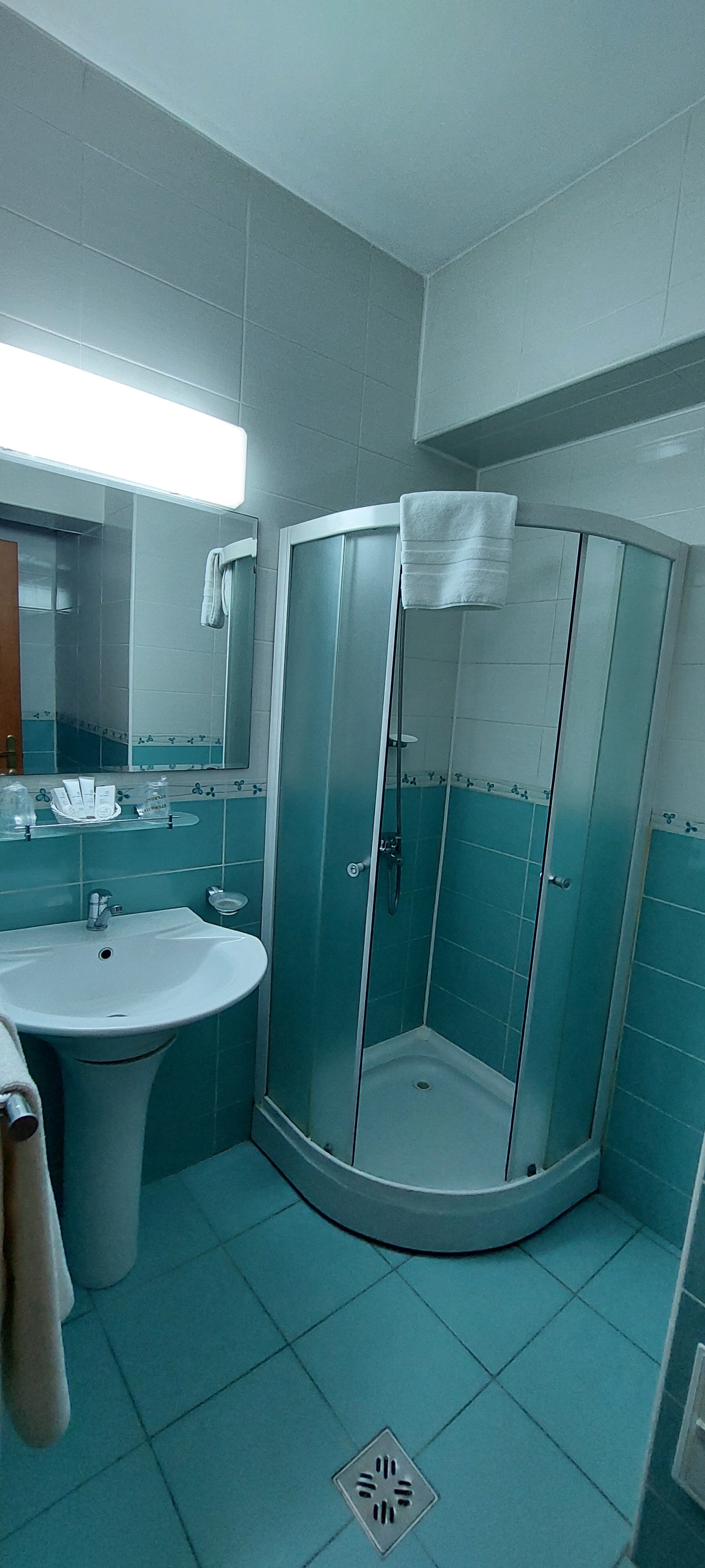 Emma West Hotel-浴室