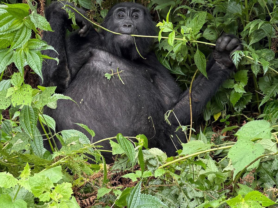 Walking Connection Adventure Travel-格兰岱尔必去景点