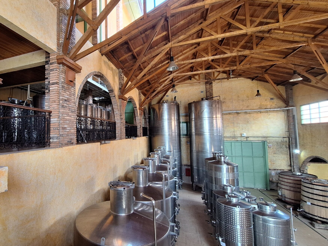 Villa Francioni-Sao Joaquim必去景点