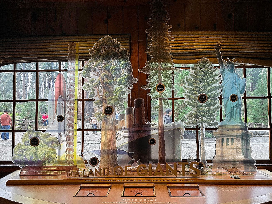 Giant Forest Museum-红杉&国王峡谷国家公园必去景点