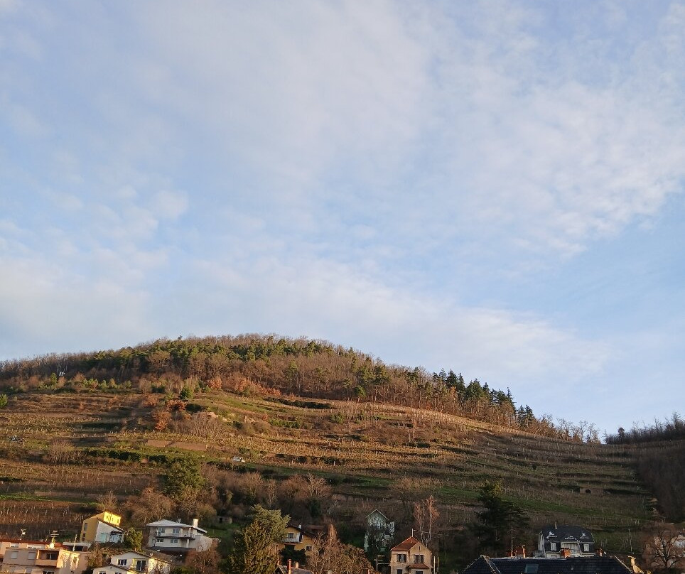 The Originals City, Hotel de l'Ange, Colmar主图