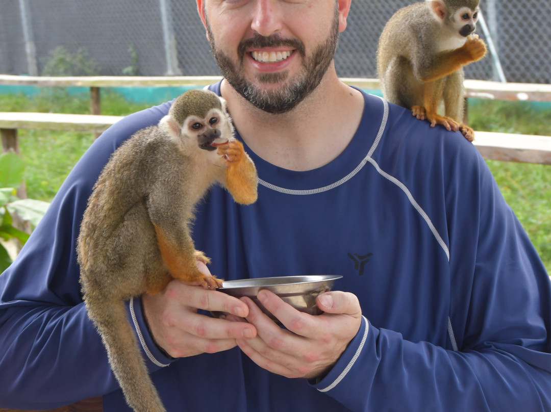 Monkey Home Puerto Plata-普拉塔港必去景点