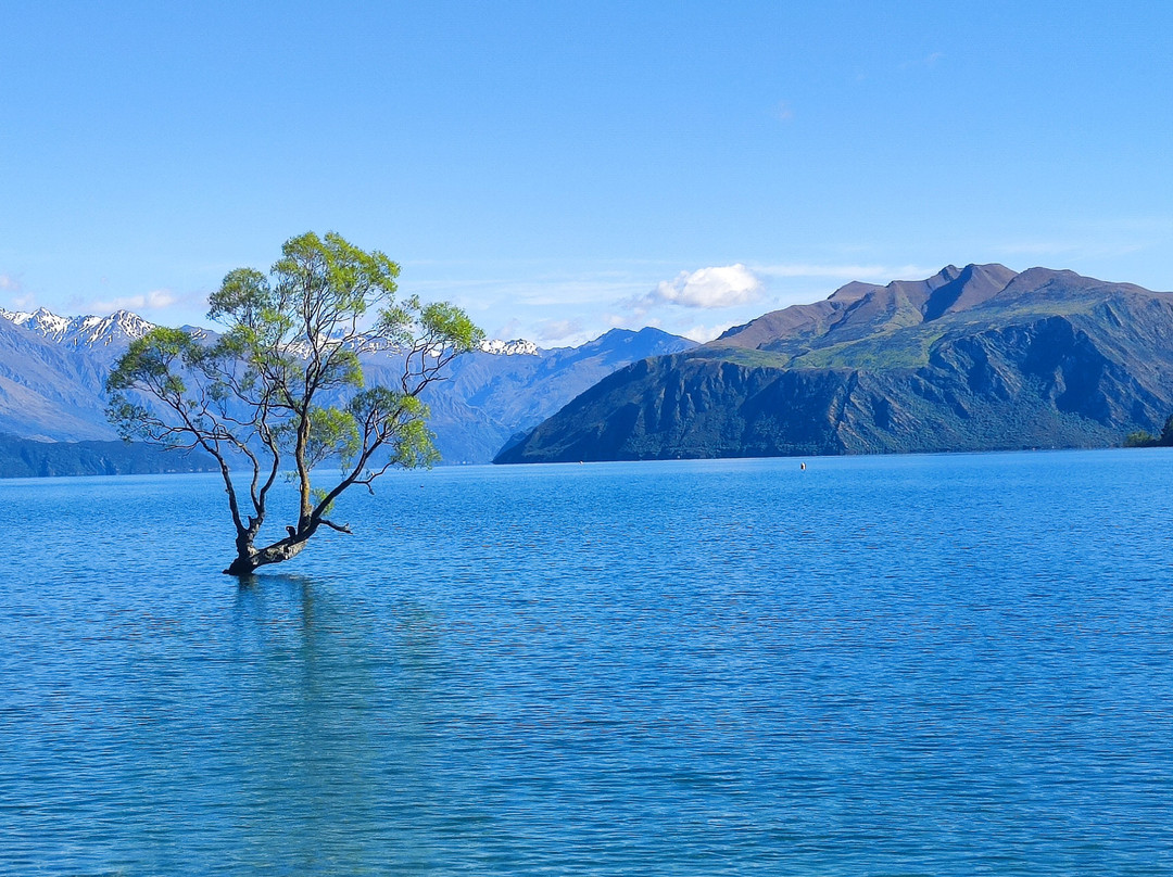 Kiwi Experience-奥克兰中心地区必去景点
