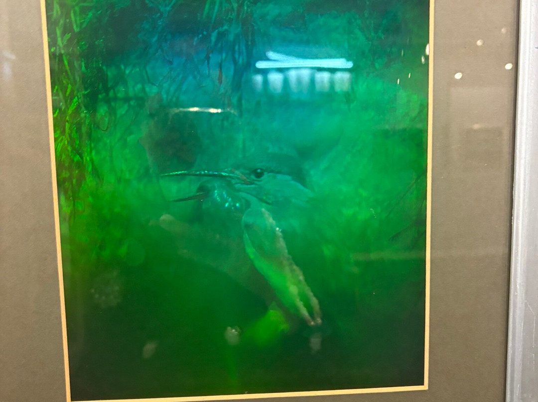 The Puzzling Place-凯瑟克必去景点