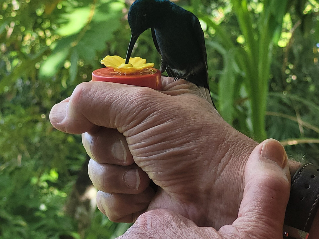 Hans Tours-斯卡伯勒必去景点