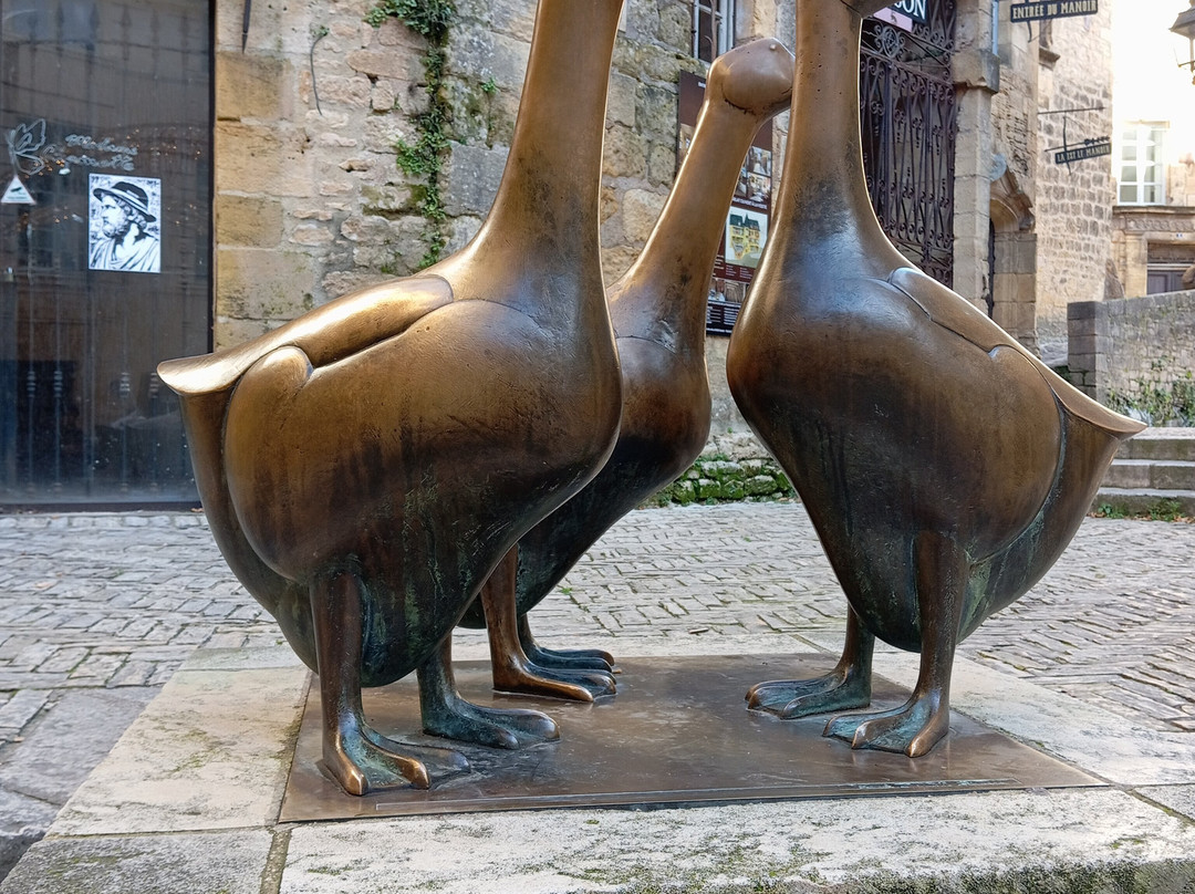 Exploreo - Private Tours-萨尔拉必去景点