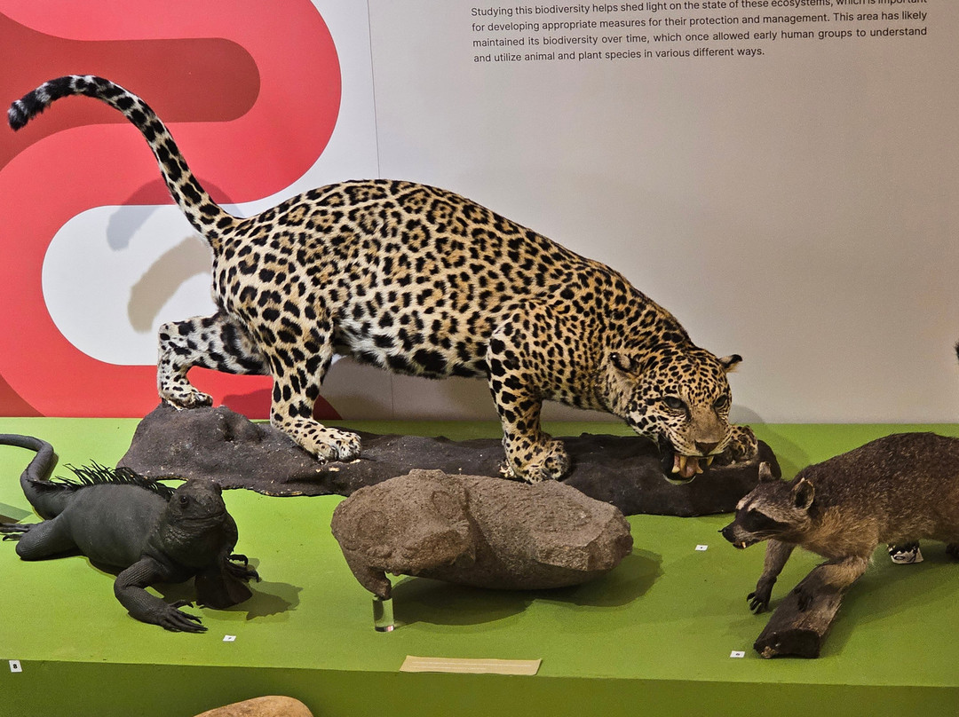 国家博物馆-圣何塞必去景点