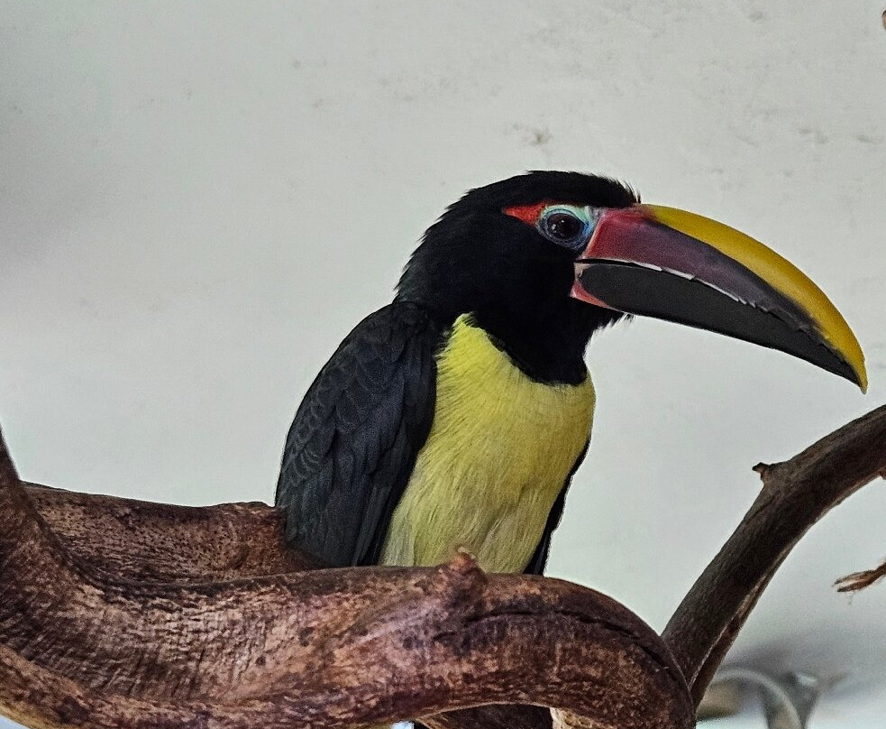 Tropikariet-赫尔辛堡必去景点