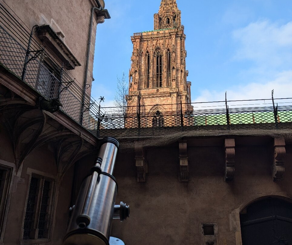 Musée de l'Œuvre Notre-Dame-斯特拉斯堡必去景点