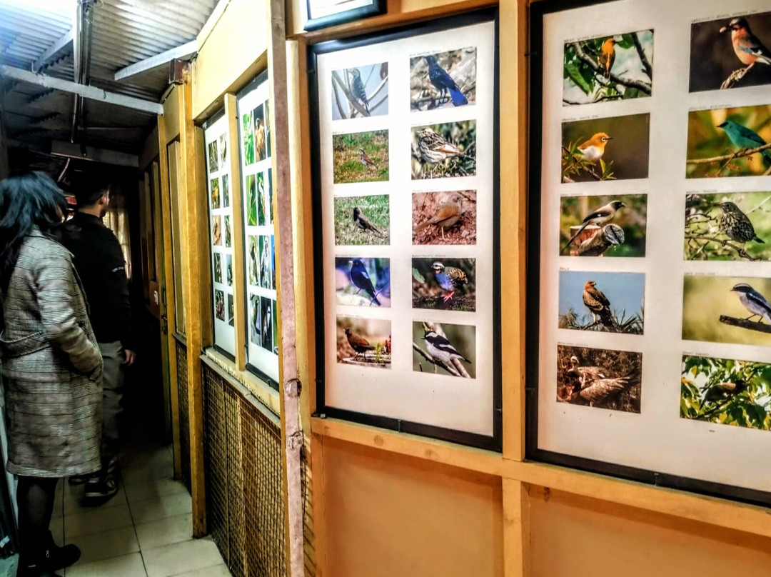 SOHAM Himalayan Centre-马苏里必去景点