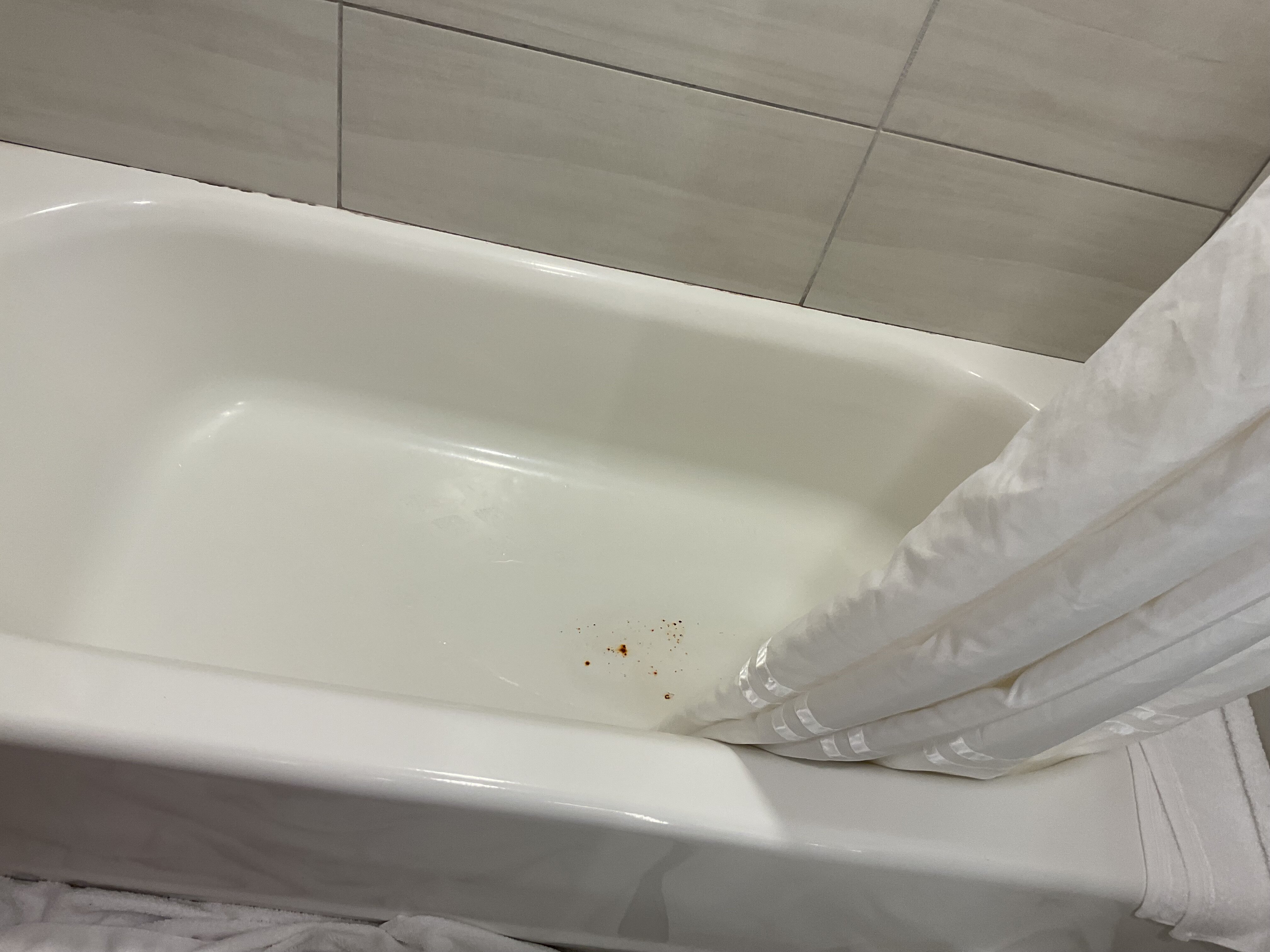 Embassy Suites by Hilton Tampa USF Near Busch Gardens-浴室