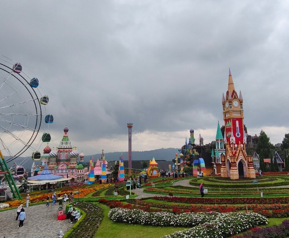 Celosia Flower Garden-Bandungan必去景点