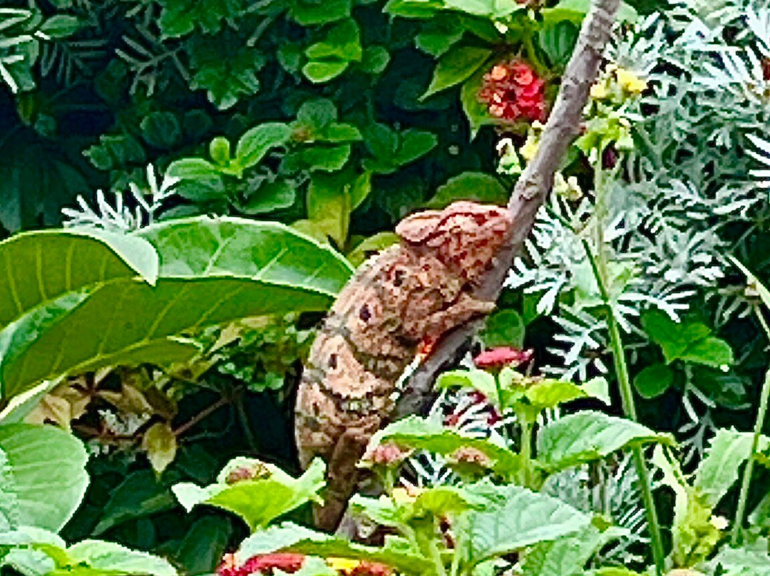 Madagascar Green Tours-安齐拉贝必去景点