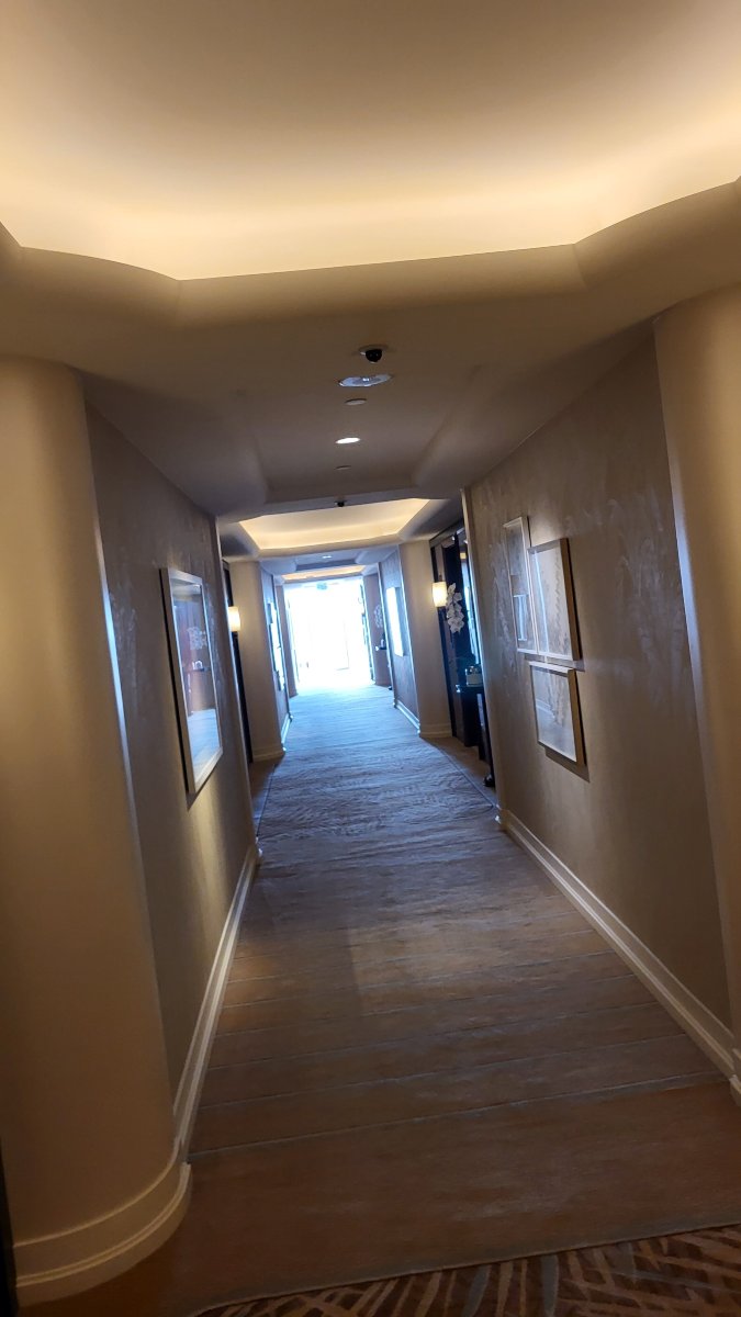 Waldorf Astoria Beverly Hills-客卧