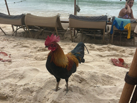 Yuuhi Beach Club & Karaoke-Bang Thao Nok必去景点