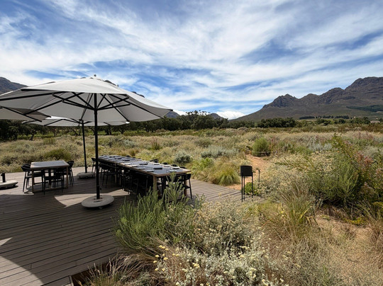 Stellenzicht-斯泰伦博斯必去景点