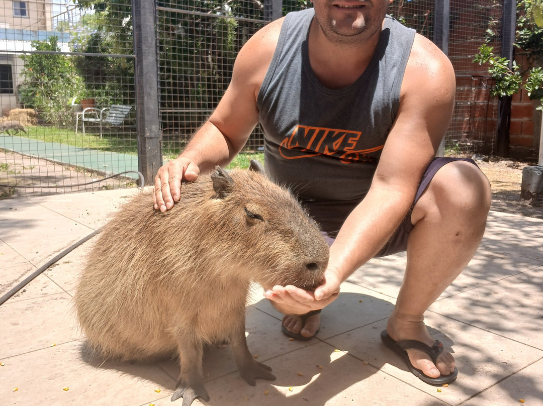 Museo Acuario Federacion-Federación必去景点