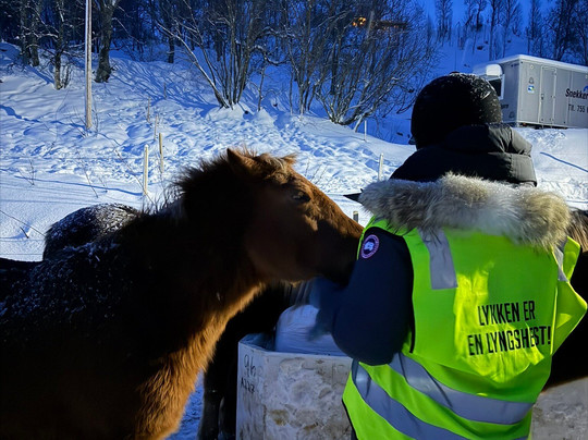 Tromsø Lyngshest-特罗姆瑟必去景点