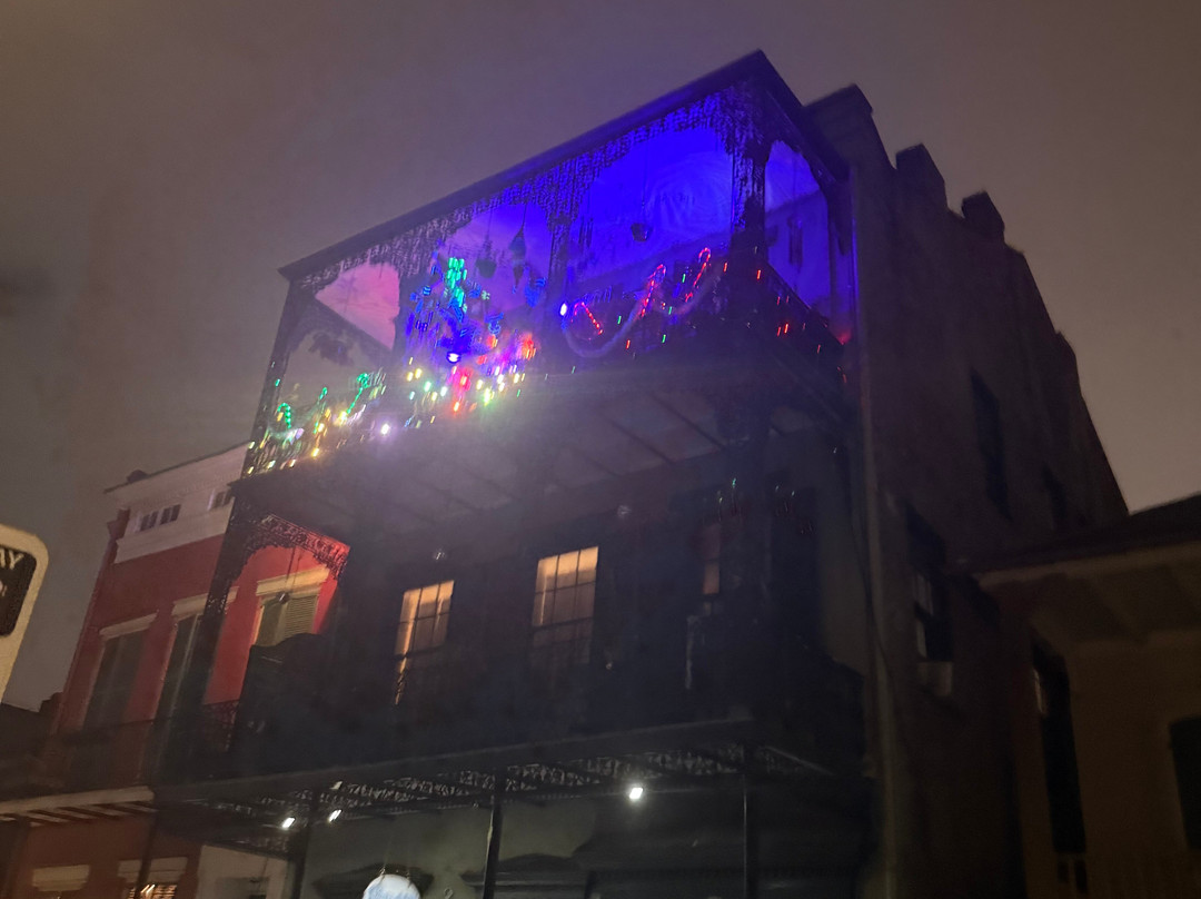 Gators and Ghosts A New Orleans Tour Company-新奥尔良必去景点