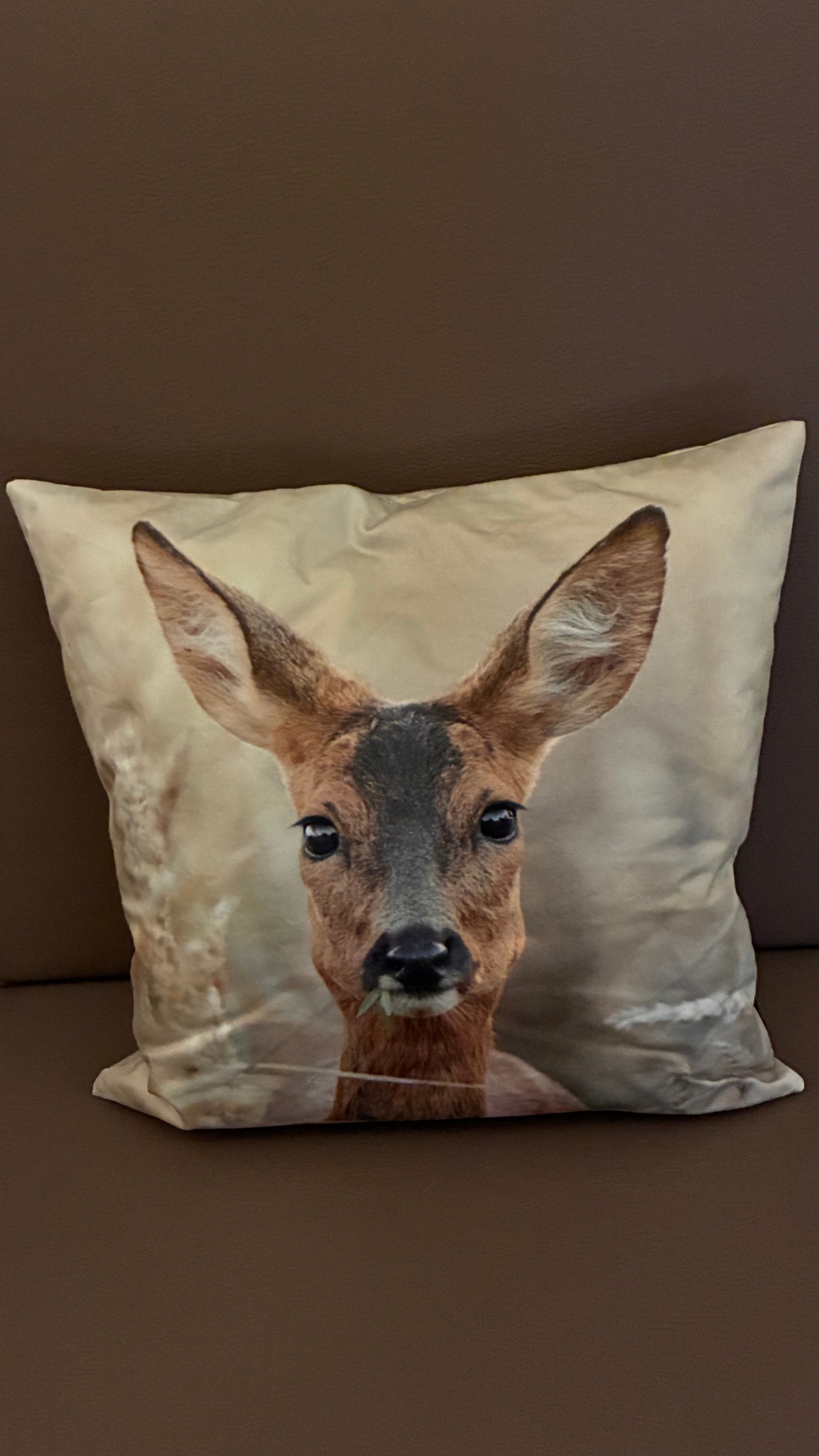 基瑞巴赫尔酒店-官方