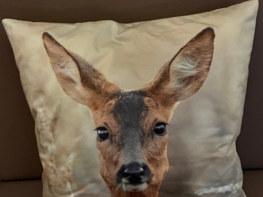 基瑞巴赫尔酒店主图