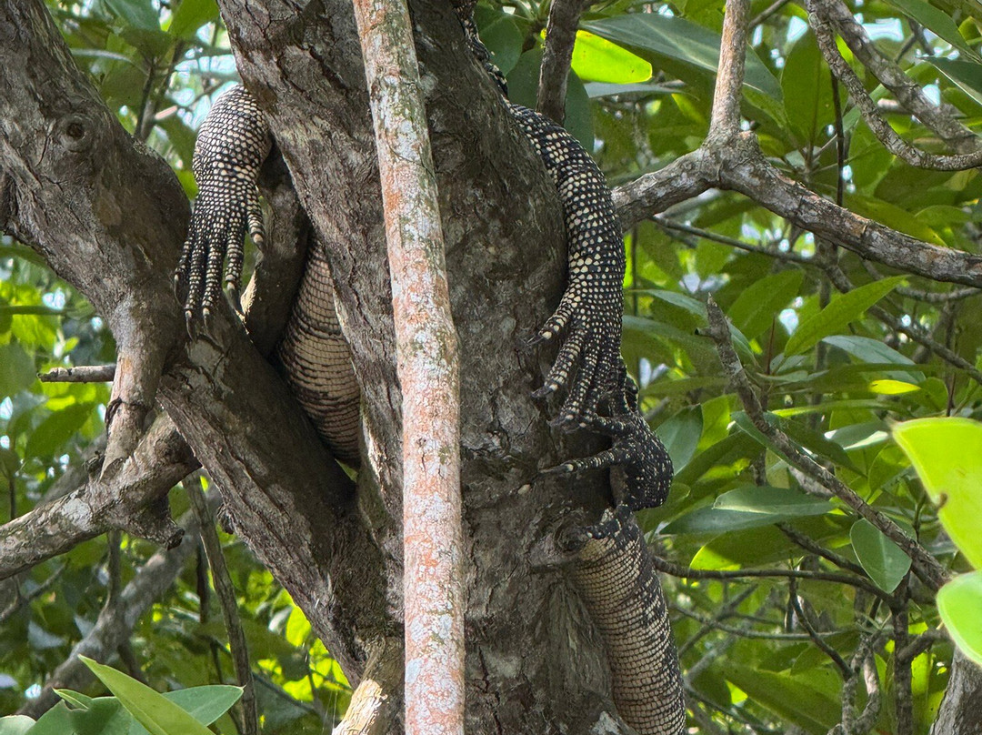 Koggala Lake Boat Safari & Kayak Adventure with Malish-克拉必去景点