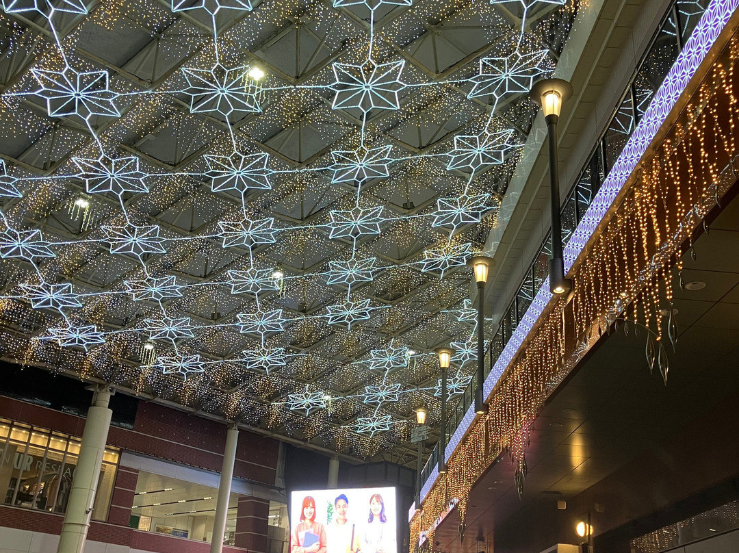 鹿儿岛中央站-鹿儿岛市必去景点