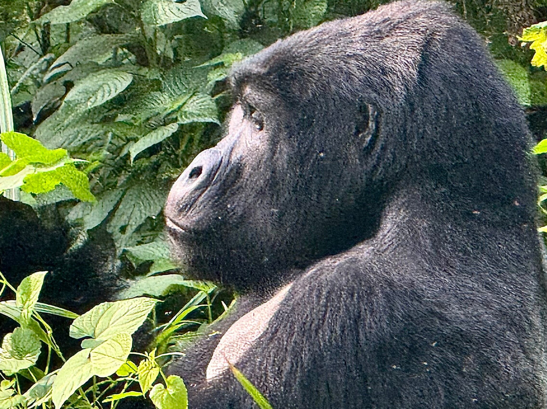 Trek Africa Expeditions-Lyamutundwe必去景点