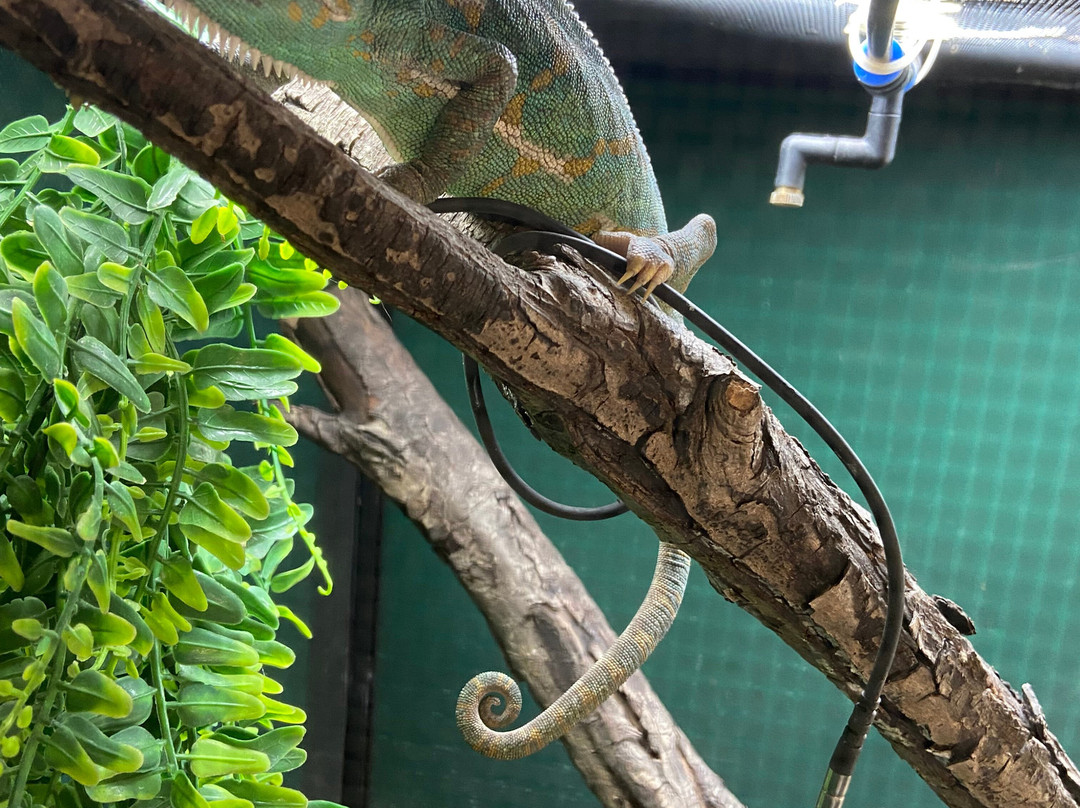 Willow Tree Family Farm-Shirebrook必去景点