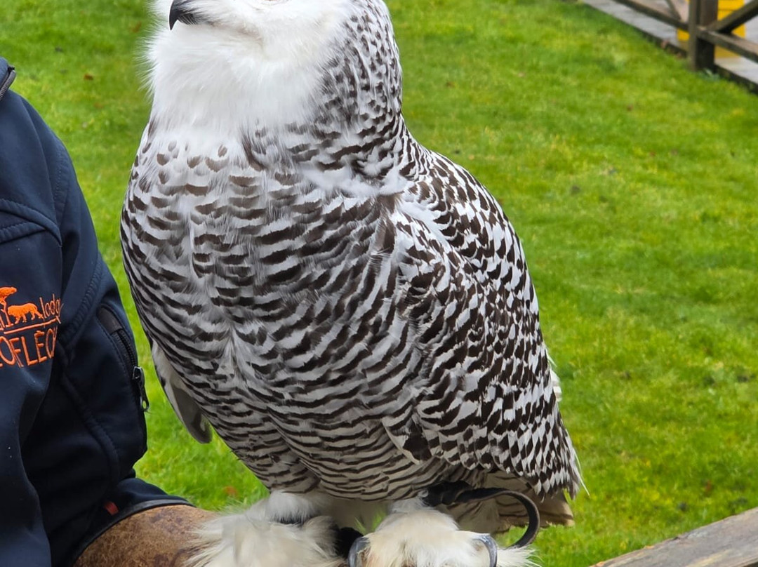 Zoo de La Fleche-La Fleche必去景点