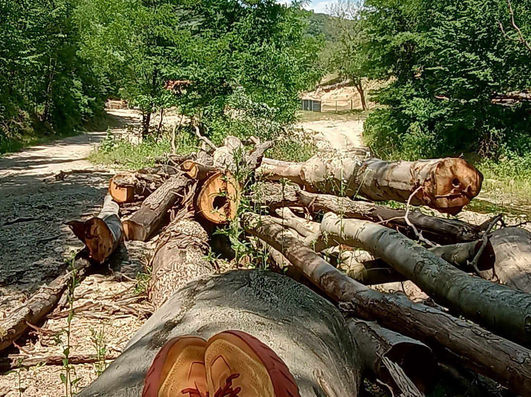 Via Transilvanica-Piatra Fantanele必去景点