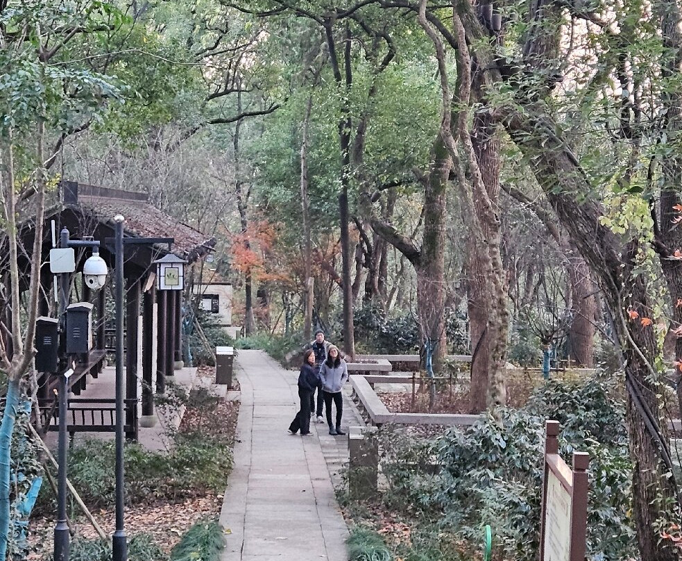 府山-绍兴市必去景点