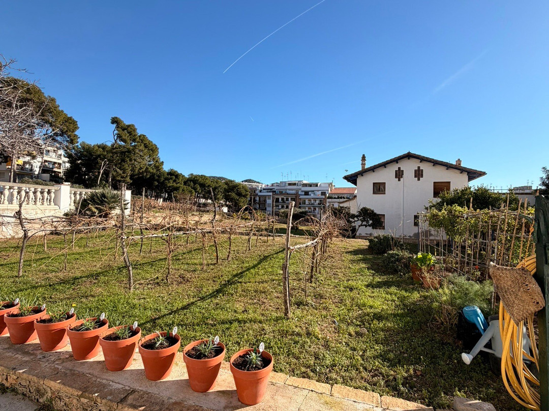 Centre d'Interpretacio De La Malvasia-锡切斯必去景点