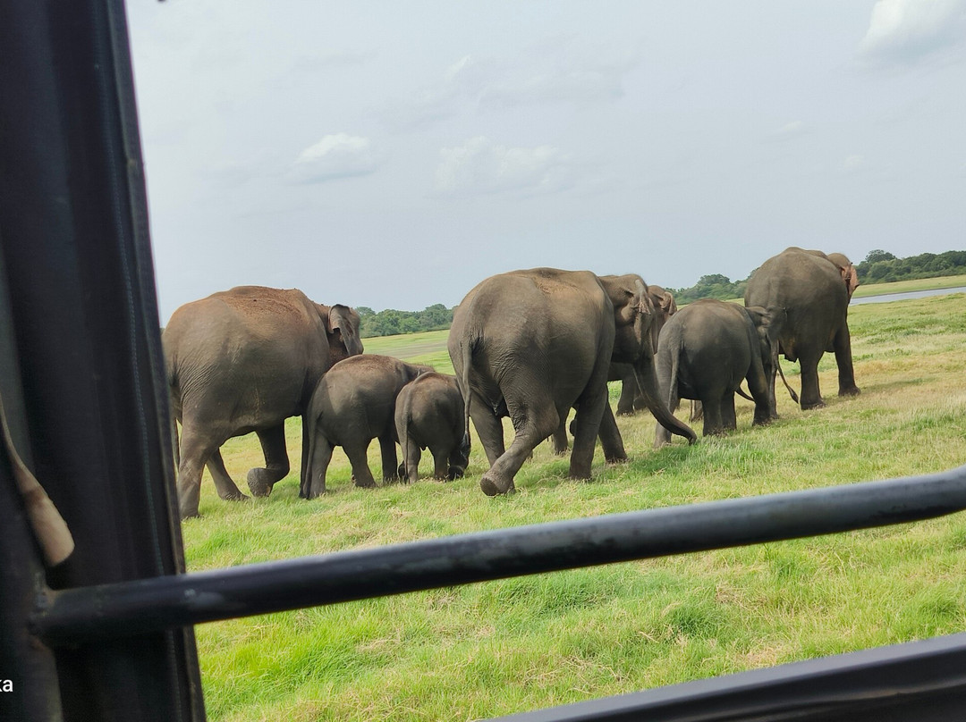 Ceylon Safari Tours-蒂瑟默哈拉默必去景点