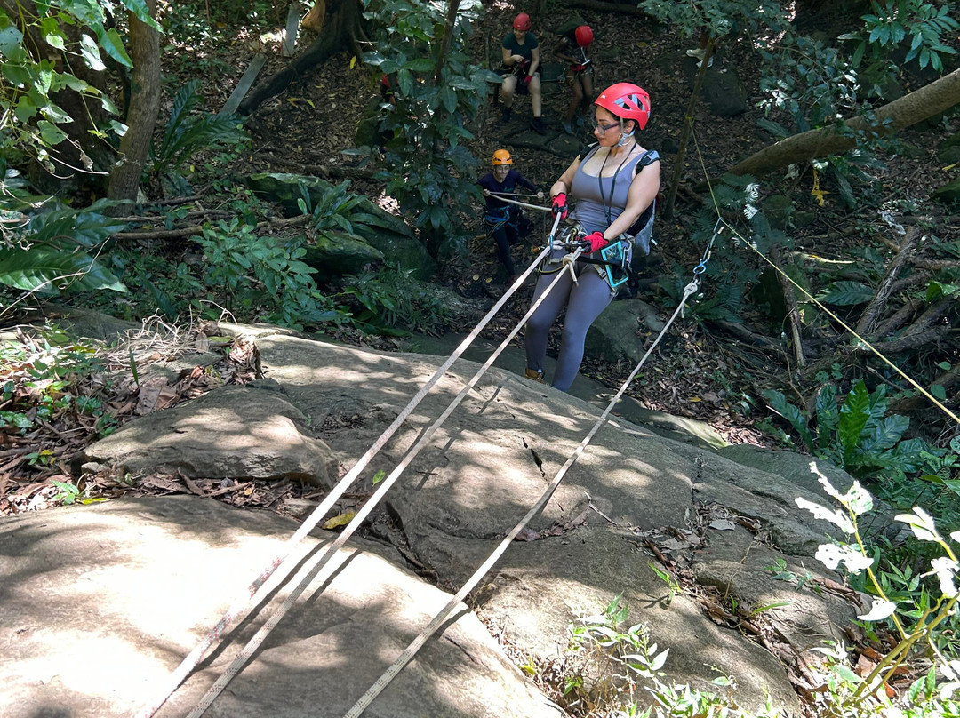 Yunque Ziplining-Luquillo必去景点