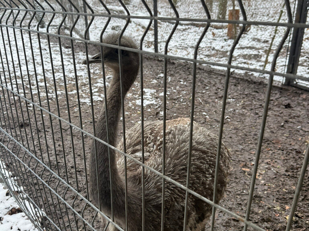 Szeged Zoo-塞格德必去景点