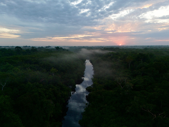 Amazon Green Tours-玛瑙斯必去景点