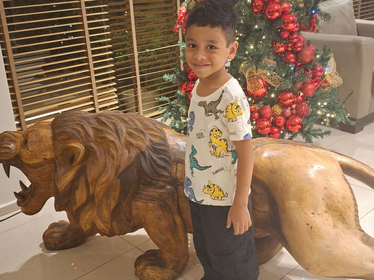 Slim São José Zion主图