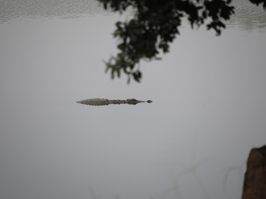 Ranthambore National Park-Ranthambore National Park必去景点