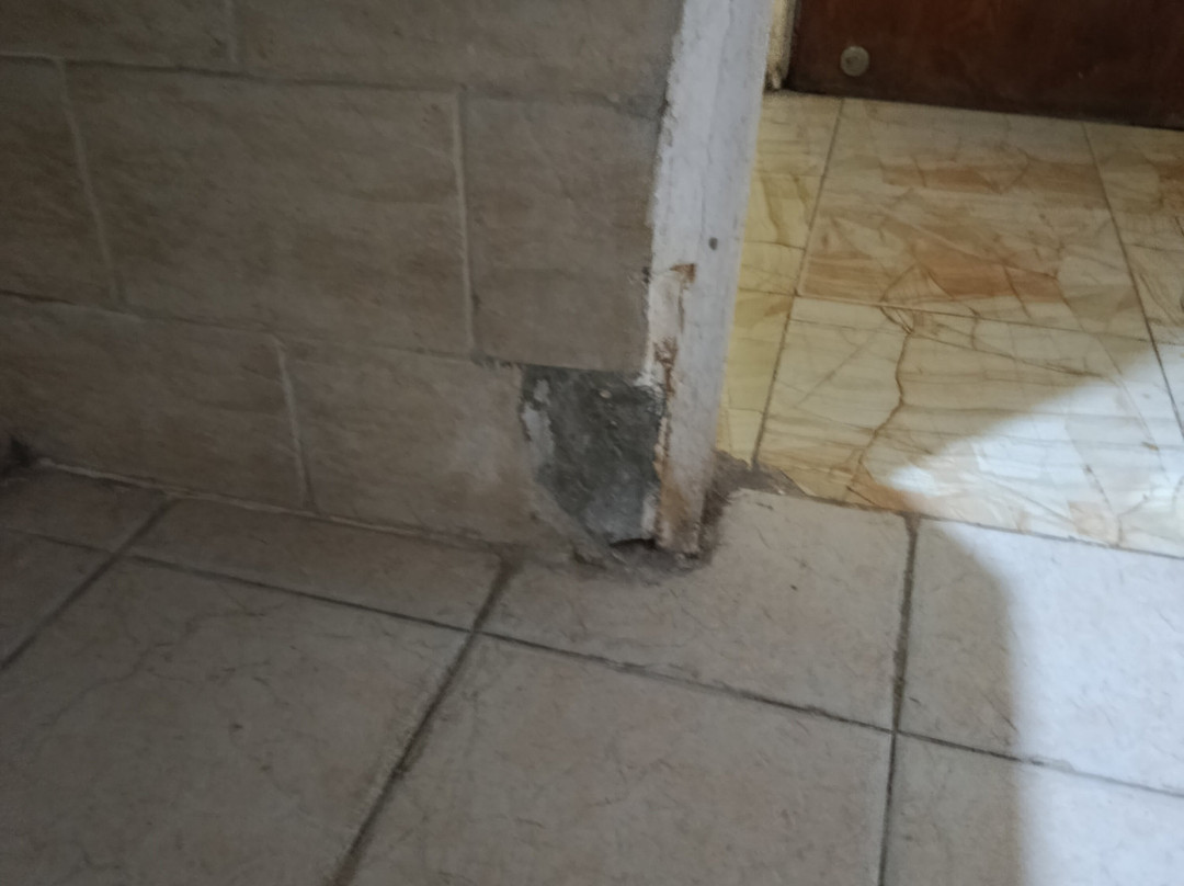 亚斯文马哈巴酒店主图