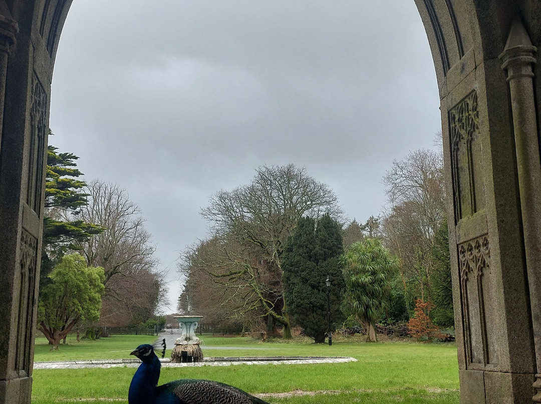 Johnstown Castle-County Wexford必去景点