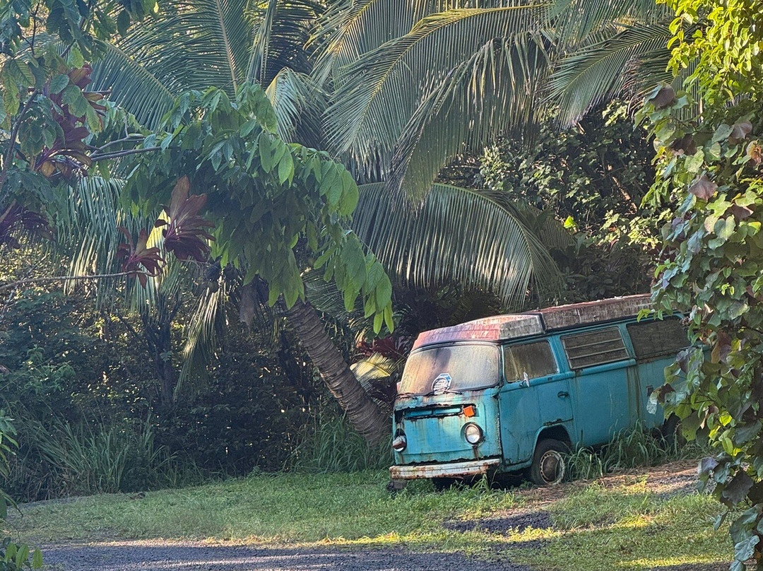 Twin Falls Maui-毛伊岛必去景点