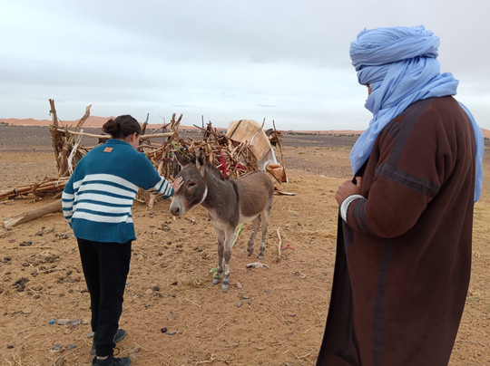 Viaje Por Marruecos - Private Day Tours-Erfoud必去景点