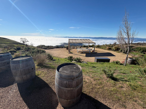 Stonestreet Winery-希尔兹堡必去景点