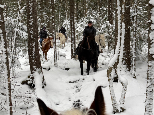 New & Gauley River Adventures-Lansing必去景点